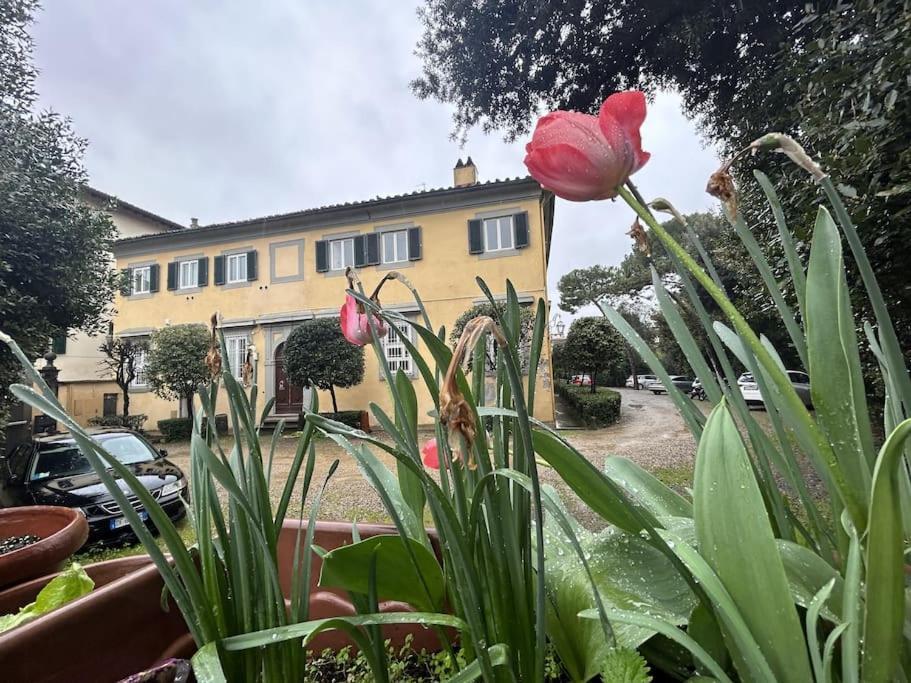 Apartment Residenza Storica In Palazzo Bruciato